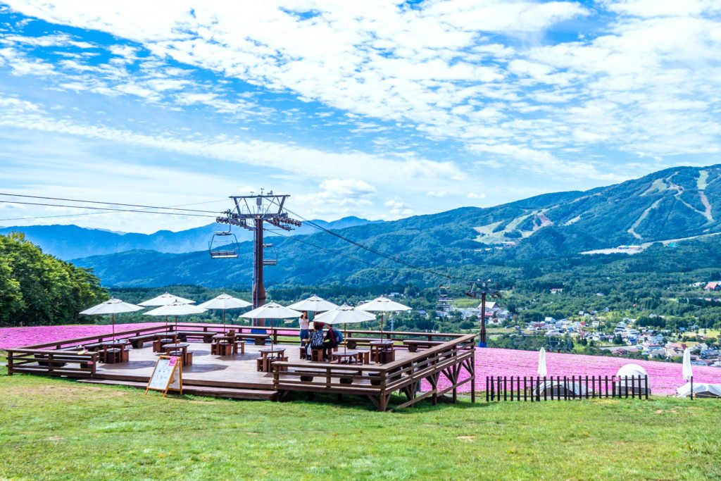 🏞️ 히루가노 분수령 공원(히루가노 분스이레이 코엔) 이미지 1